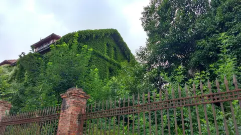 Chalés de La Vega Chalés de La Vega