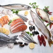 Pescado Pescado