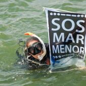 Ecologistas en Acción: "La Ley del Mar Menor no se está cumpliendo"
