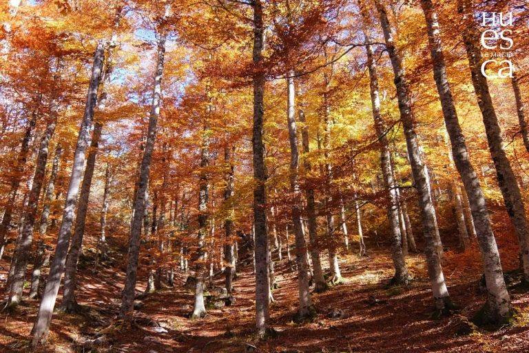 Buenas expectativas del sector turístico para el puente Buenas expectativas del sector turístico para el puente