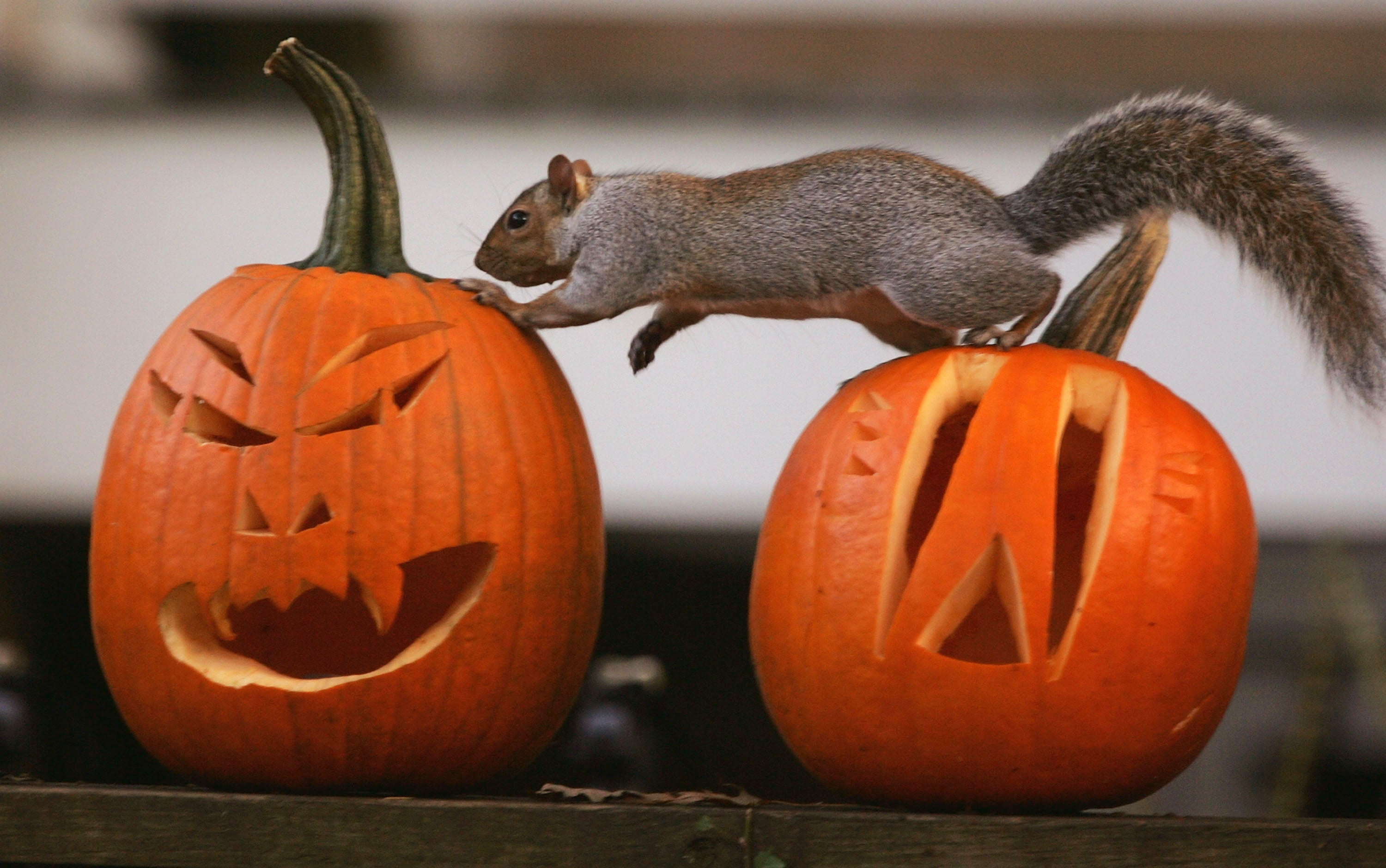 Mesa de redacción: manualidades de Halloween Mesa de redacción: manualidades de Halloween