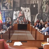 Pleno de la Diputación de Ciudad Real Pleno de la Diputación de Ciudad Real