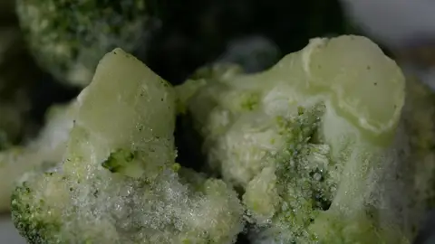 Cómo descongelar la comida de forma correcta Cómo descongelar la comida de forma correcta