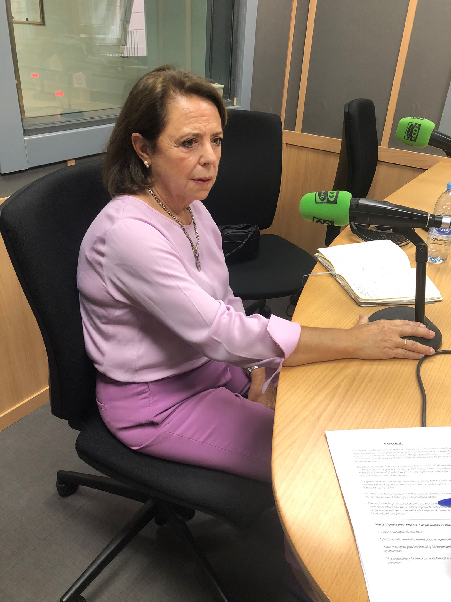 Bancosol prepara la Gran Recogida para los días 25 y 26 de noviembre Bancosol prepara la Gran Recogida para los días 25 y 26 de noviembre