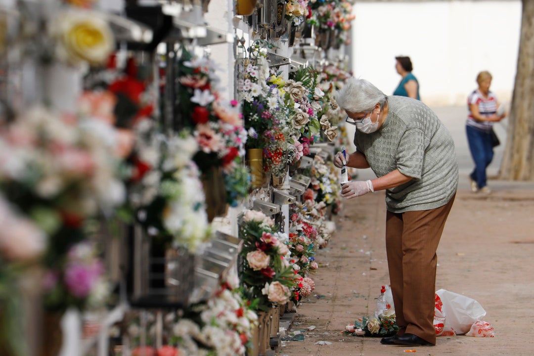 El Cementerio Municipal, preparado para 'Todos los santos' El Cementerio Municipal, preparado para 'Todos los santos'