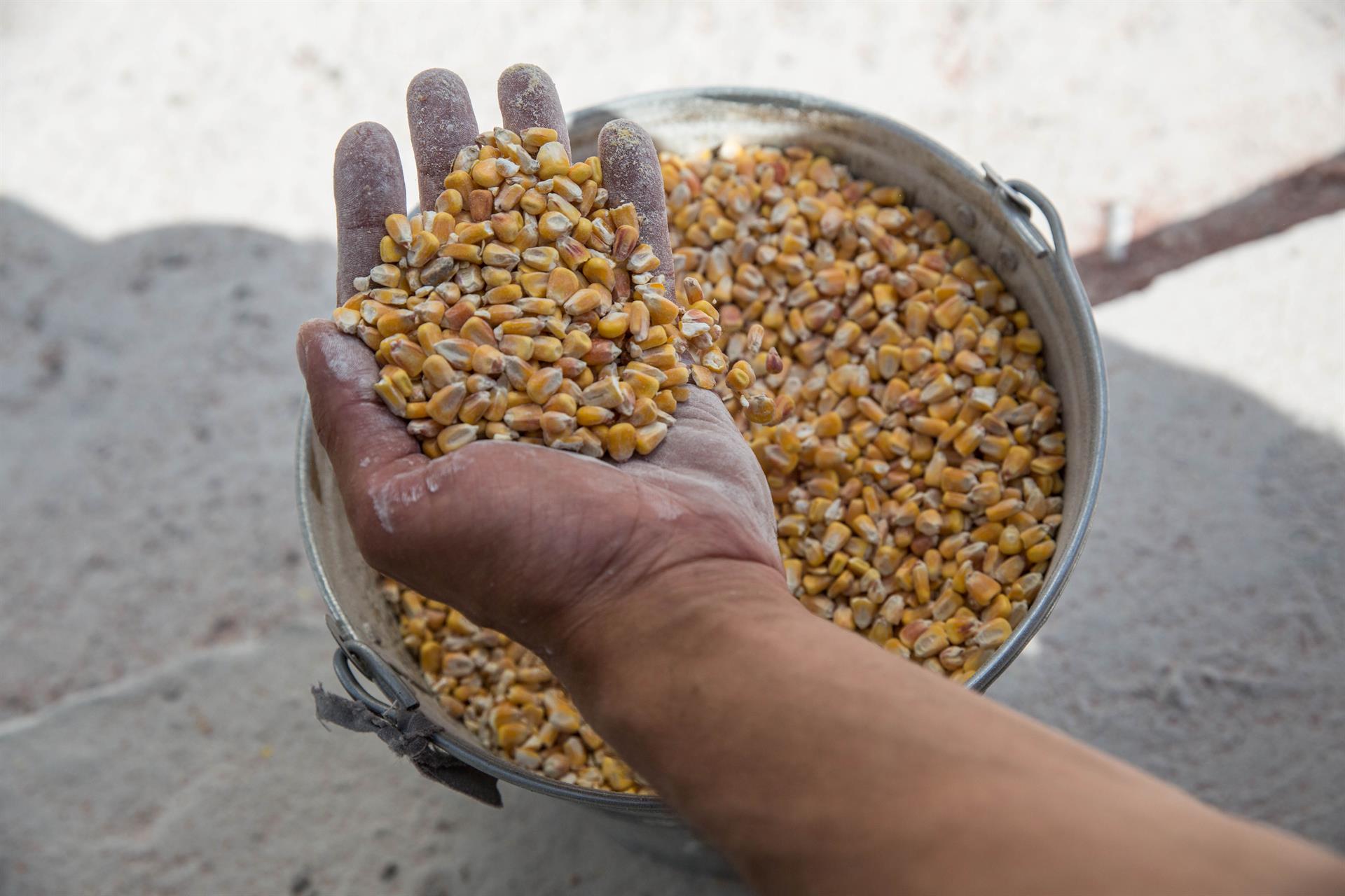 Turquía anuncia que no saldrán buques desde Ucrania bajo el acuerdo de cereales Turquía anuncia que no saldrán buques desde Ucrania bajo el acuerdo de cereales