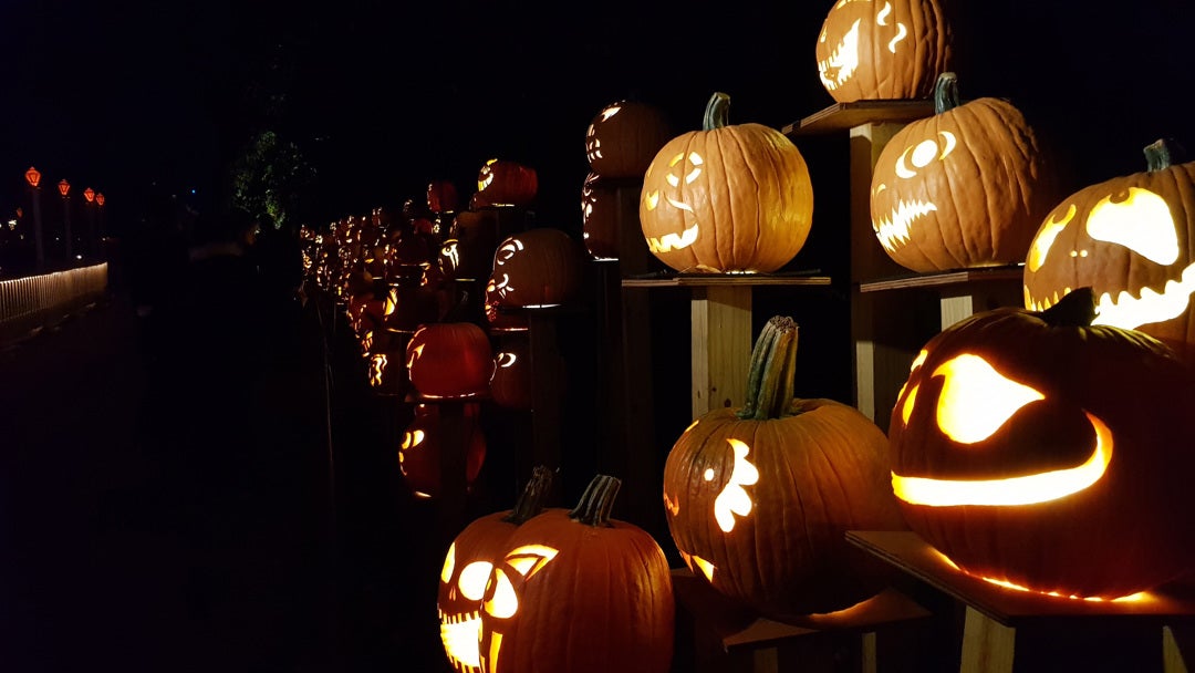 Reinosa celebra Halloween con un concurso de disfraces y pasajes del terror Reinosa celebra Halloween con un concurso de disfraces y pasajes del terror