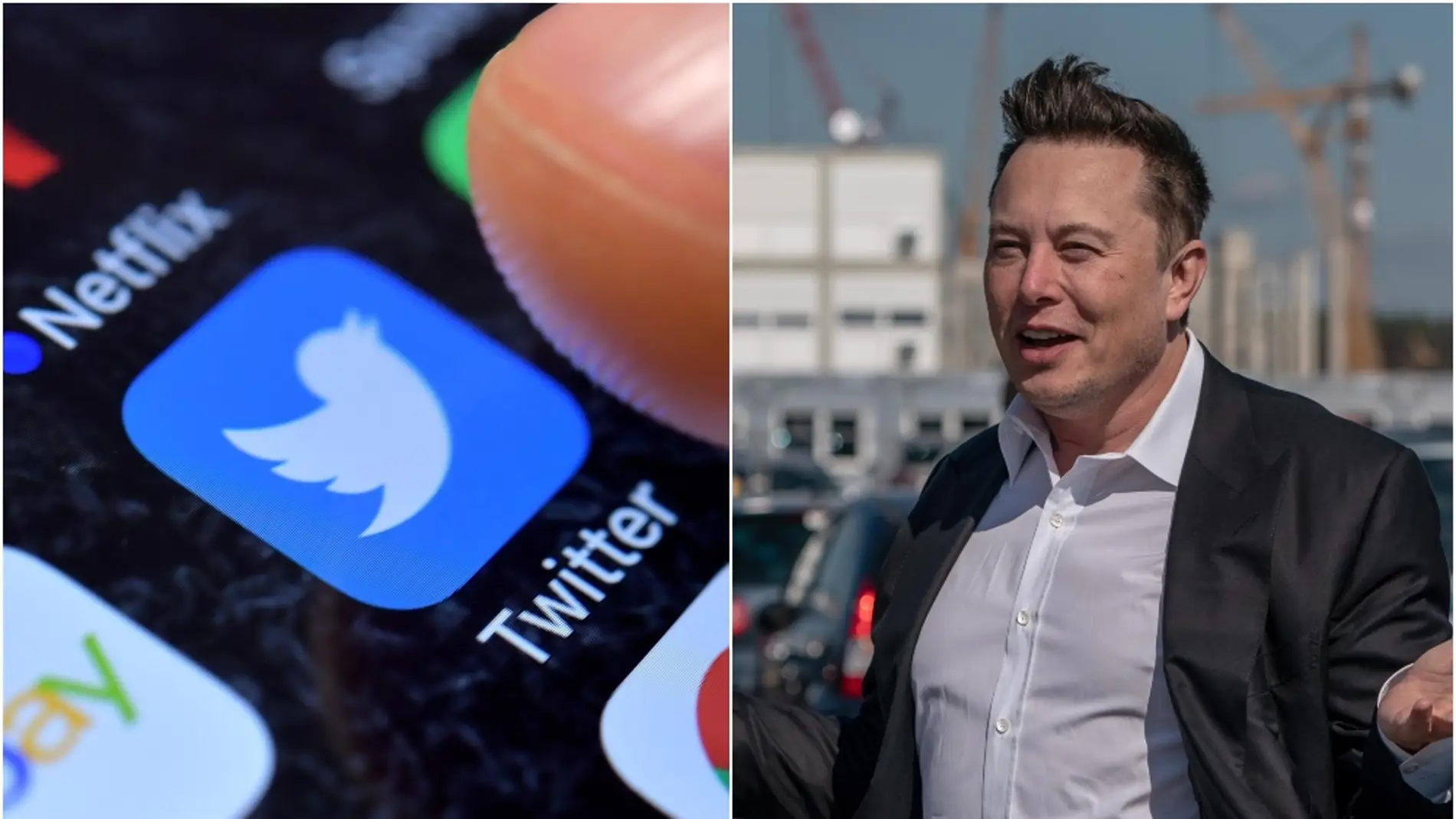 Twitter y Elon Musk.