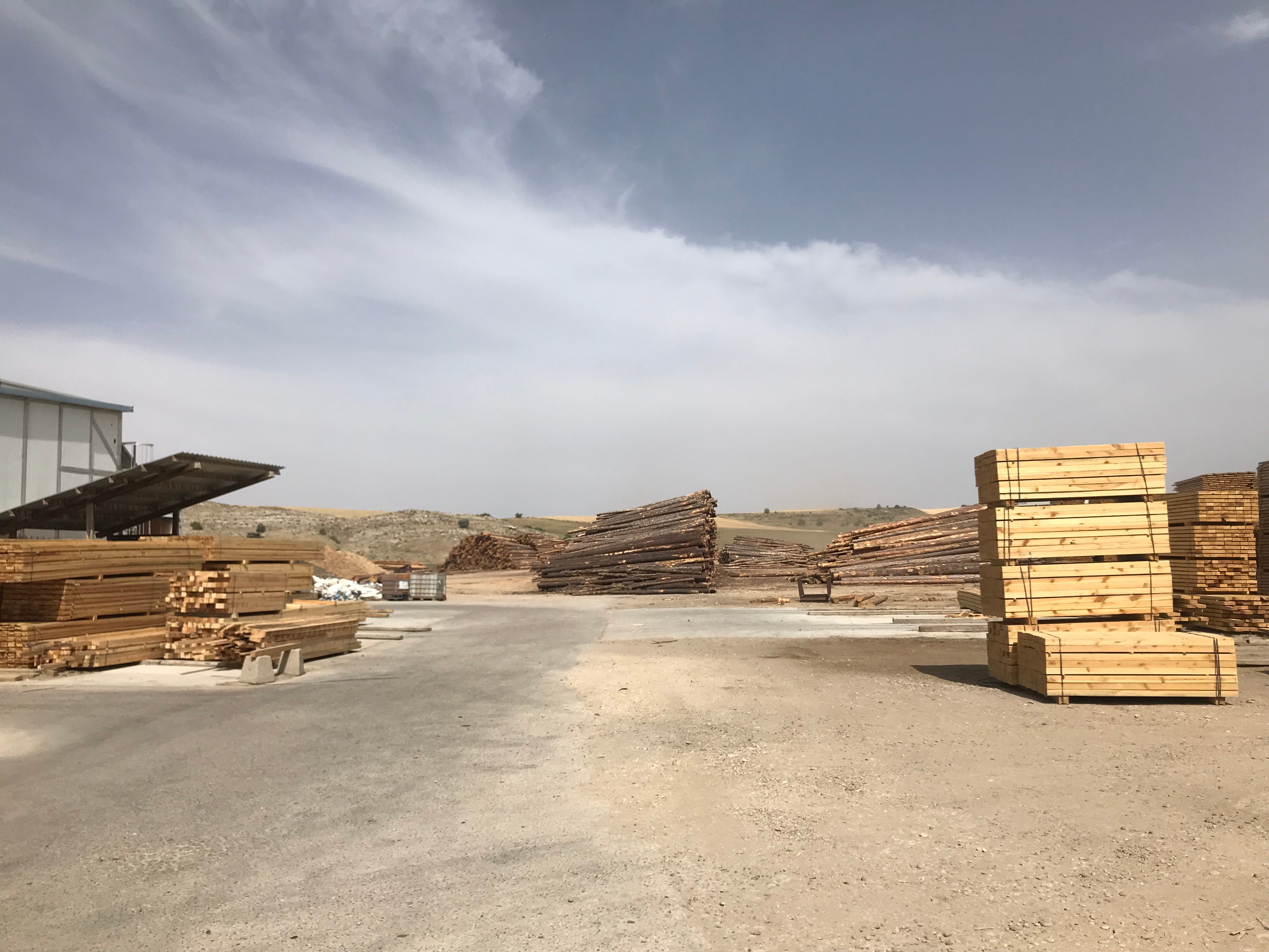 Las peticiones de leña gratuita para calefacción se duplican en Cuenca en un año Las peticiones de leña gratuita para calefacción se duplican en Cuenca en un año