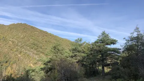 El otoño en los montes de Caldearenas El otoño en los montes de Caldearenas
