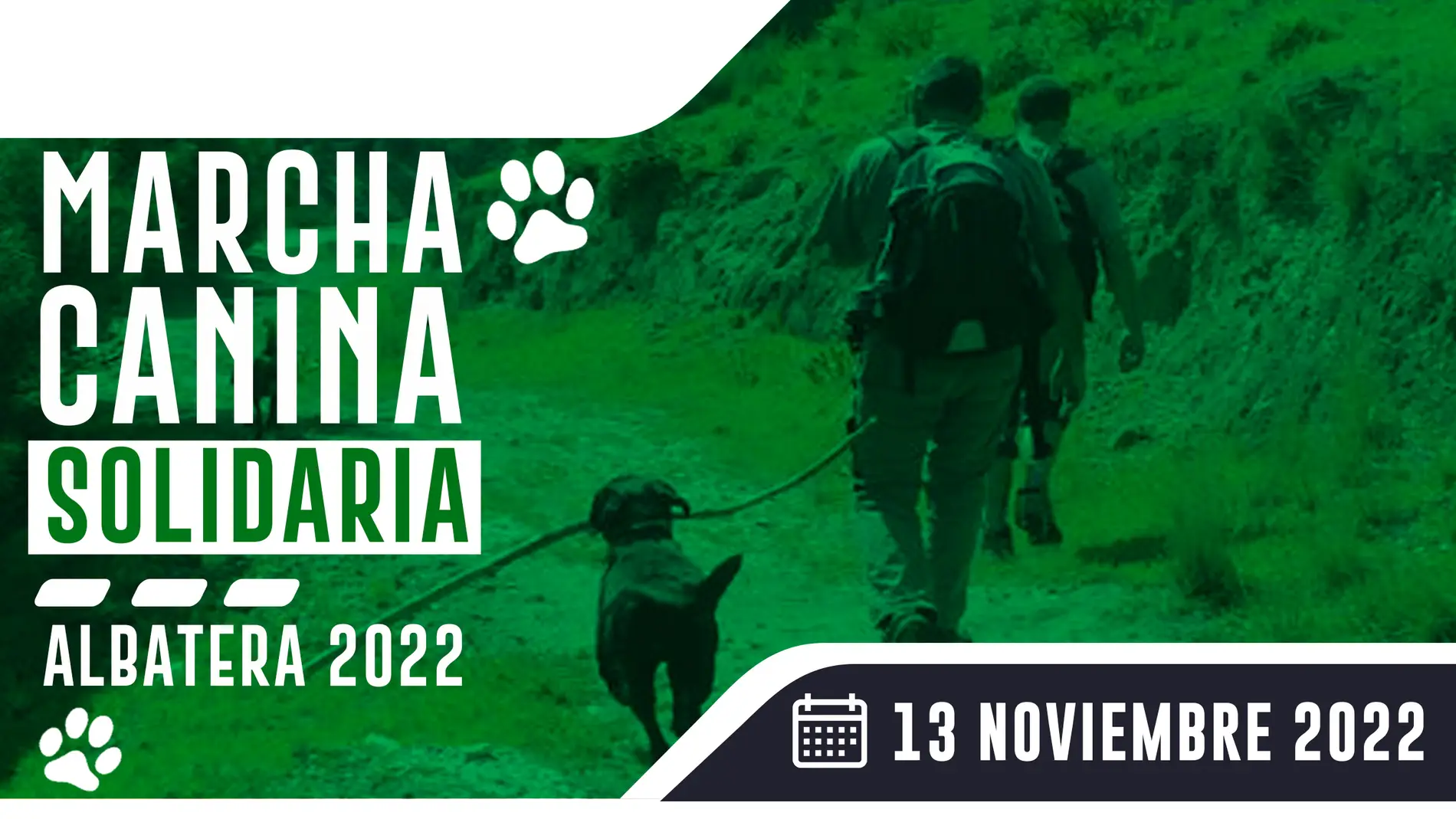Deportes en Albatera presenta la primera marcha solidaria canina 