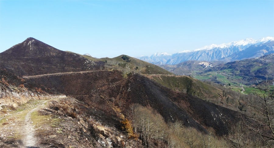 "El calentamiento global impondrá nuevos paradigmas en la prevención de incendios" "El calentamiento global impondrá nuevos paradigmas en la prevención de incendios"