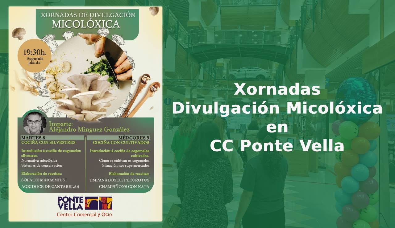 Jornadas de Gastronomía Micológica en Ponte Vella Jornadas de Gastronomía Micológica en Ponte Vella