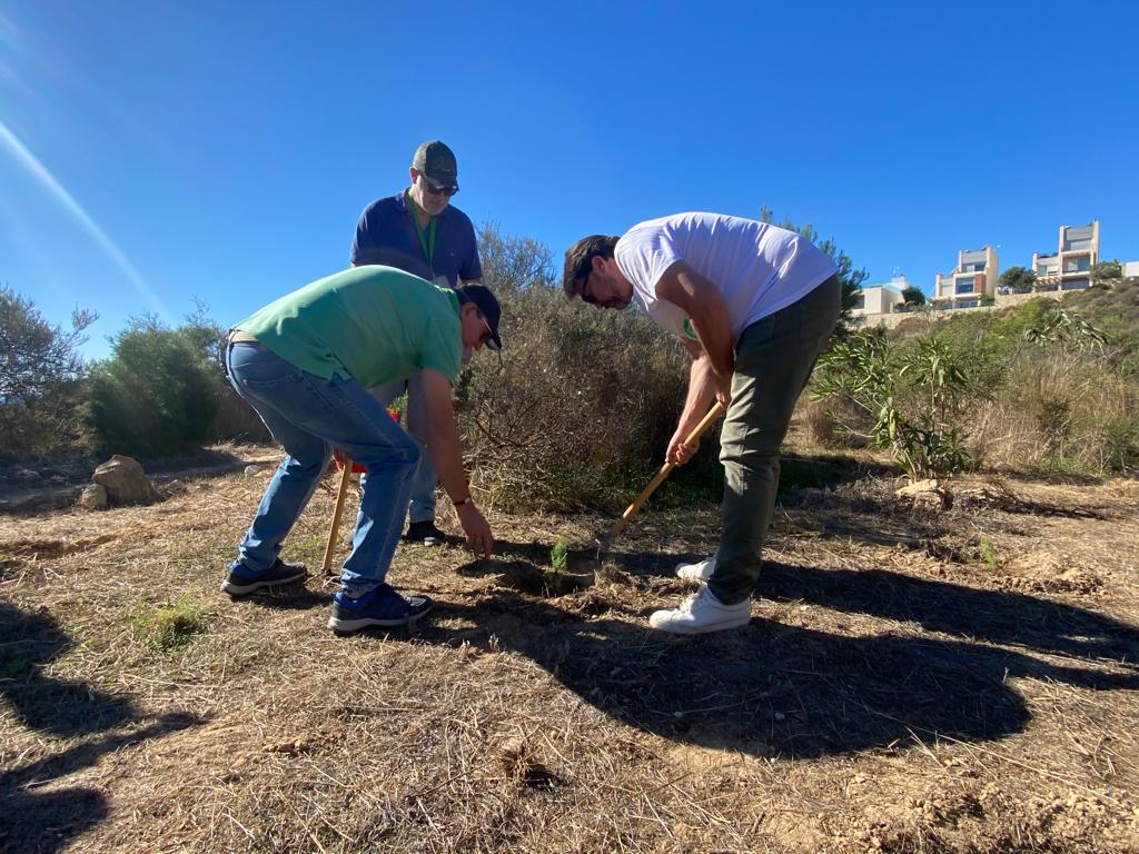 Más de 1600 voluntarios reforestan la zona de Cala Cantalar con el apoyo del Ayuntamiento y la Asociación Enamorados de Alicante Más de 1600 voluntarios reforestan la zona de Cala Cantalar con el apoyo del Ayuntamiento y la Asociación Enamorados de Alicante