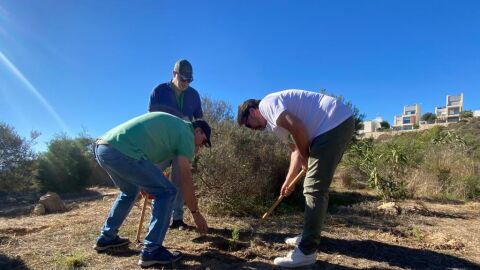 M&aacute;s de 1600 voluntarios reforestan la zona de Cala Cantalar con el apoyo del Ayuntamiento y la Asociaci&oacute;n Enamorados de Alicante