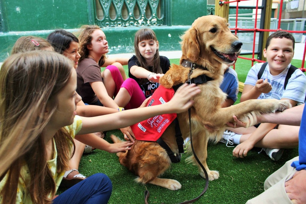 Ángel Osuna, adiestrador canino "En la Guardería Piolín los niños pequeños con un perro adiestrado" Ángel Osuna, adiestrador canino "En la Guardería Piolín los niños pequeños con un perro adiestrado"