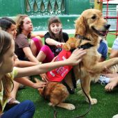 Ángel Osuna, adiestrador canino "En la Guardería Piolín los niños pequeños con un perro adiestrado"   