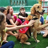 Ángel Osuna, adiestrador canino "En la Guardería Piolín los niños pequeños con un perro adiestrado" Ángel Osuna, adiestrador canino "En la Guardería Piolín los niños pequeños con un perro adiestrado"