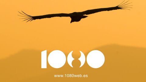 1080 WildLife 