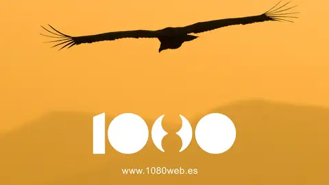 1080 WildLife 1080 WildLife