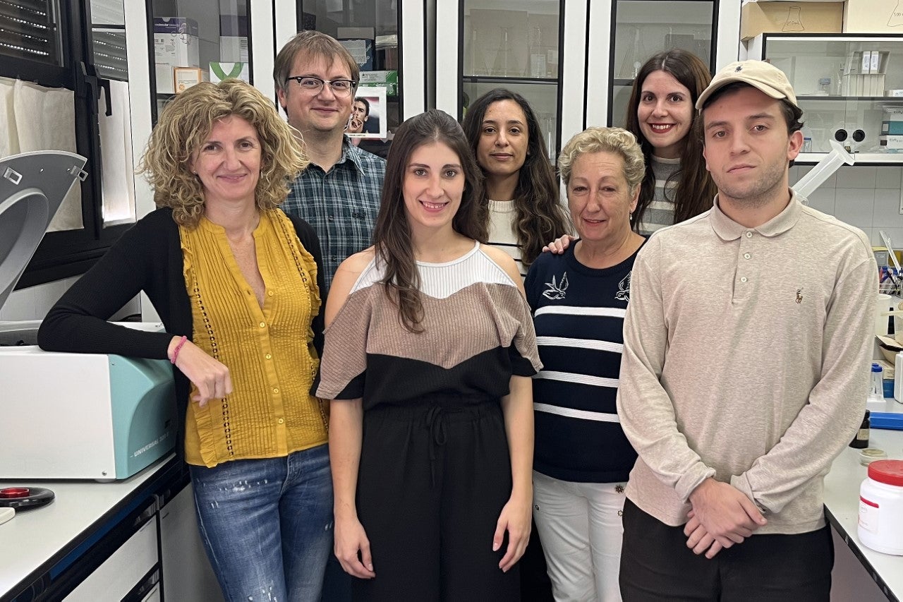 La memoria de los árboles La memoria de los árboles