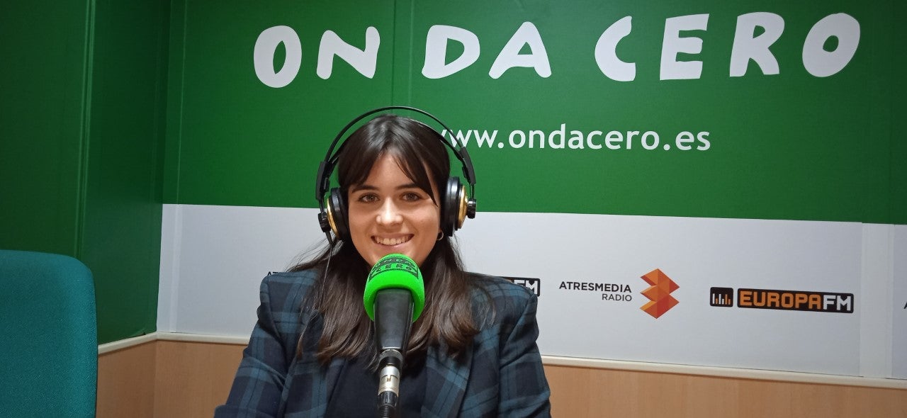 Qué es y cómo tratar la inmunodeficiencia felina Qué es y cómo tratar la inmunodeficiencia felina