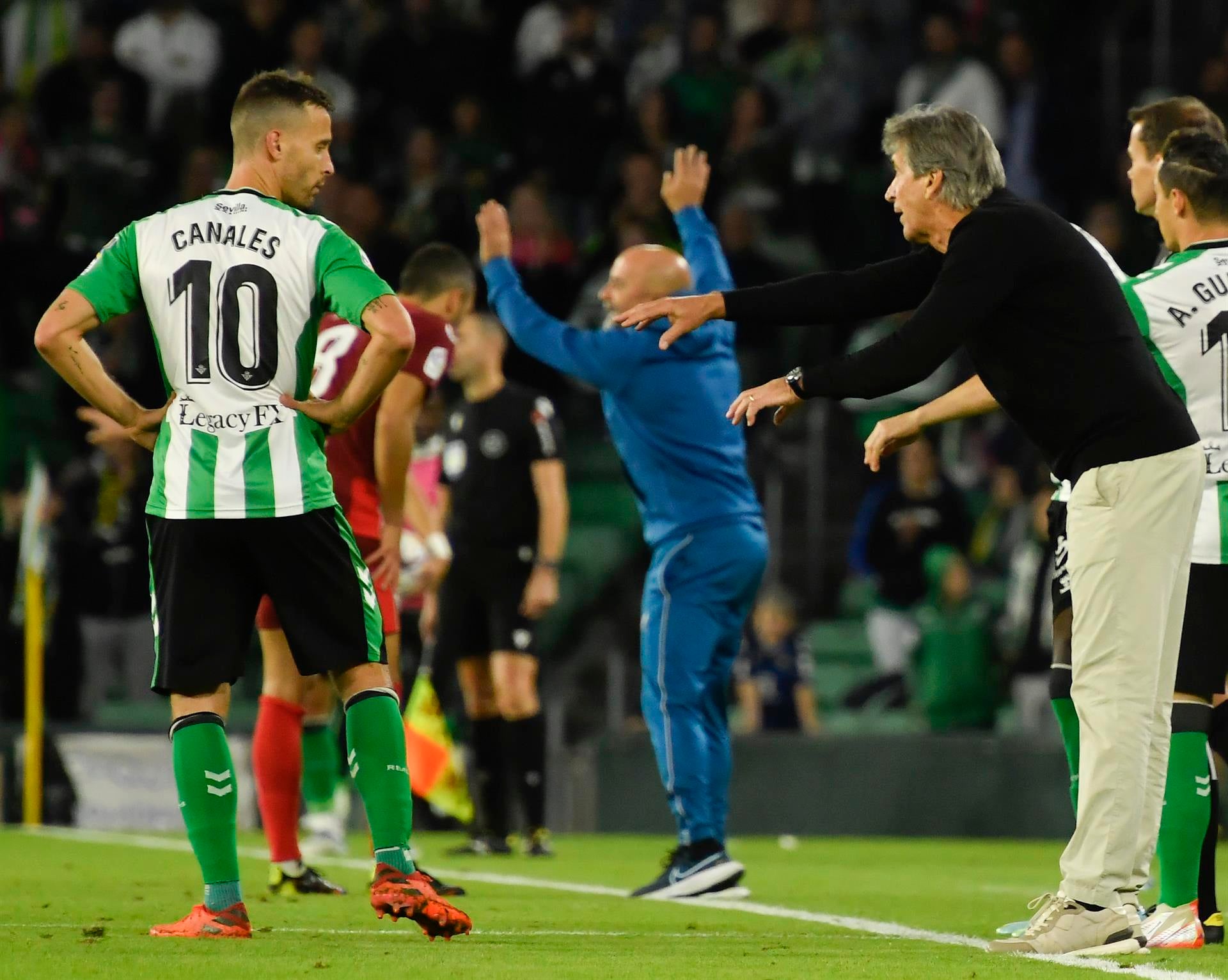 Dardito de Pellegrini a Monchi Dardito de Pellegrini a Monchi