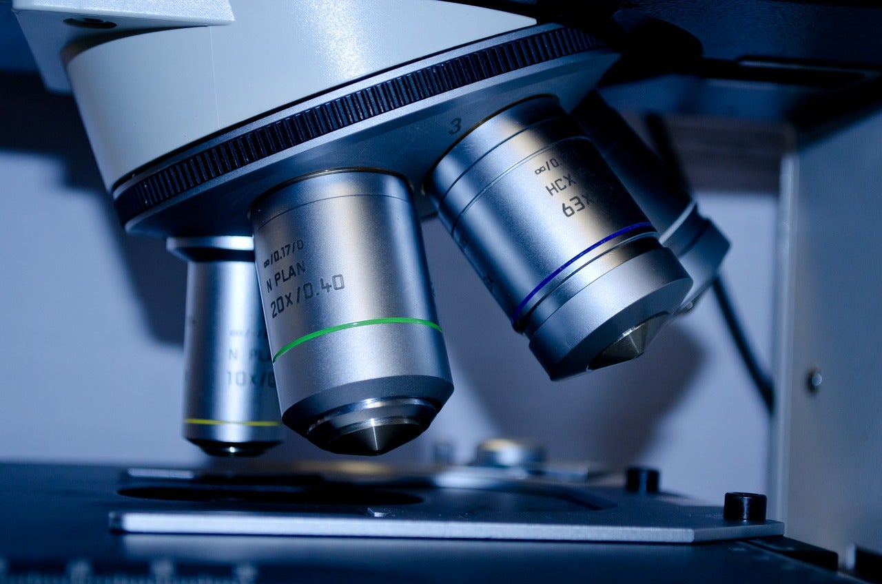 Cáncer de colon: investigadores españoles identifican las células que causan metástasis Cáncer de colon: investigadores españoles identifican las células que causan metástasis