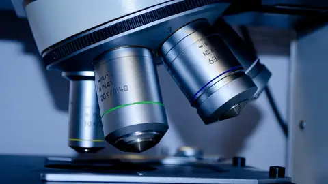Cáncer de colon: investigadores españoles identifican las células que causan metástasis Cáncer de colon: investigadores españoles identifican las células que causan metástasis