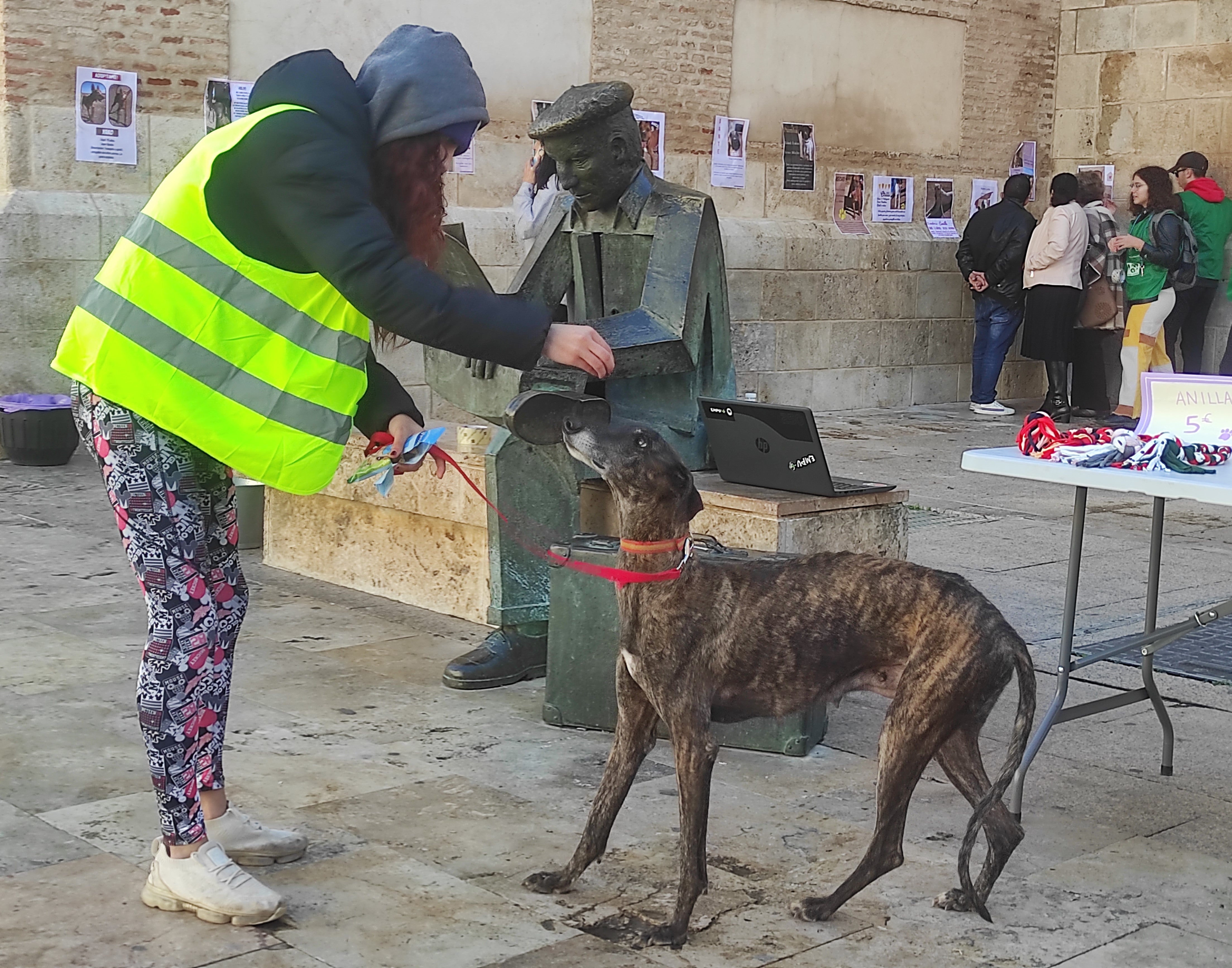 Jornada de sensibilización sobre la adopción de mascotas en Valdepeñas Jornada de sensibilización sobre la adopción de mascotas en Valdepeñas