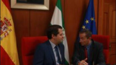 El alcalde preside el pleno municipal