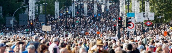 ¿Cree justificada la manifestación sanitaria de Madrid?