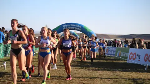 Bo papel dos conxuntos galegos no campionato de España de campo a través Bo papel dos conxuntos galegos no campionato de España de campo a través