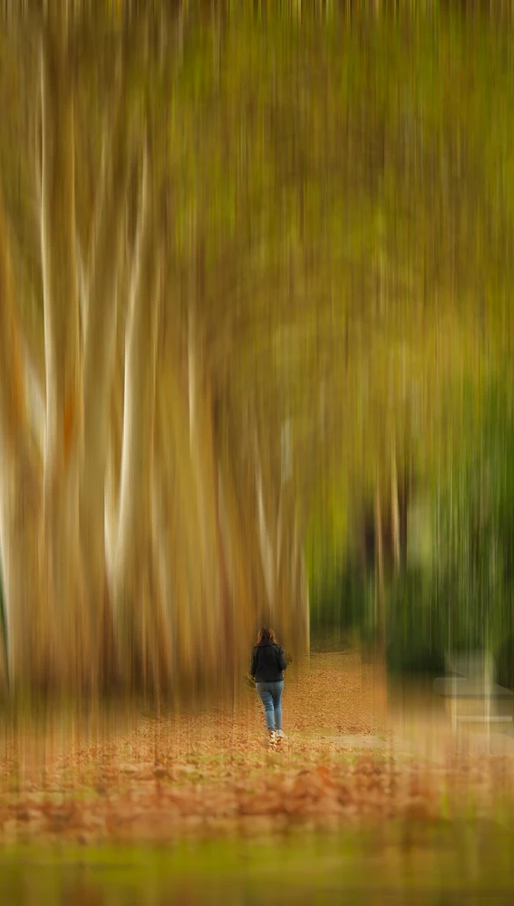 “Paseo encantado”, de María Teresa González Becerril “Paseo encantado”, de María Teresa González Becerril