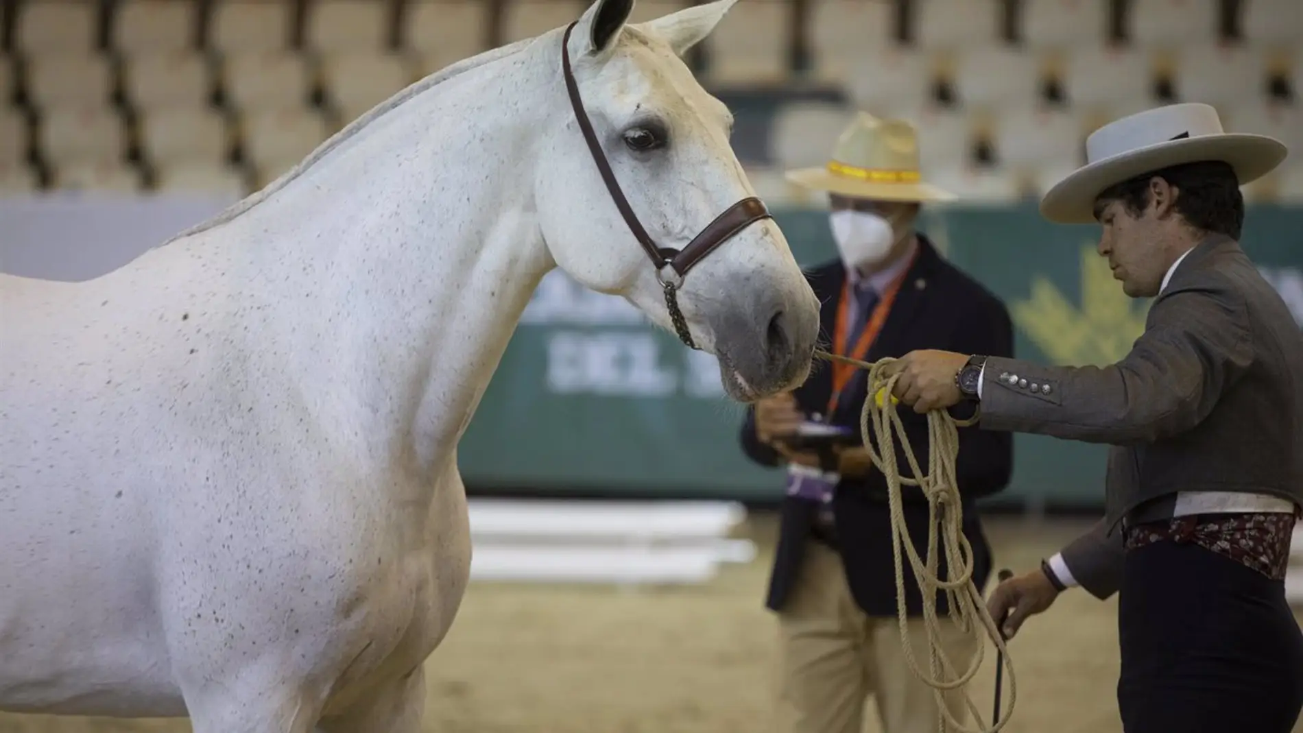 Un jinete junto a su caballo durante una prueba del Campeonato del Mundo del Caballo PRE, en una imagen de archivo.