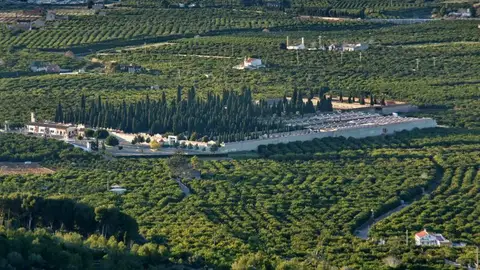 cementerio alzira cementerio alzira