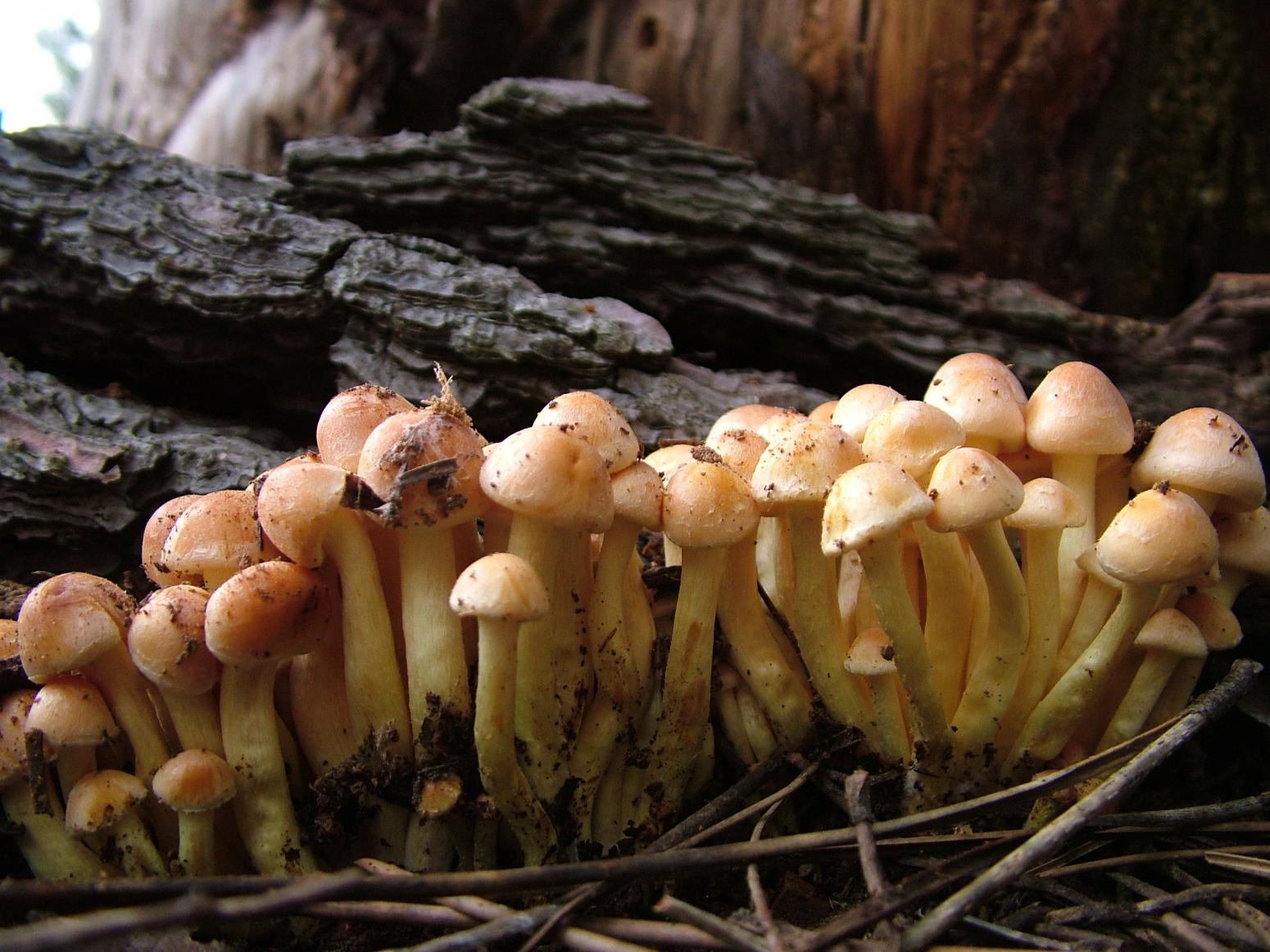 La Gastronomía en Onda Cero, con Sabor a Málaga, marca promocional de la Diputación Provincial 17 NOVIEMBRE 2022 La Gastronomía en Onda Cero, con Sabor a Málaga, marca promocional de la Diputación Provincial 17 NOVIEMBRE 2022