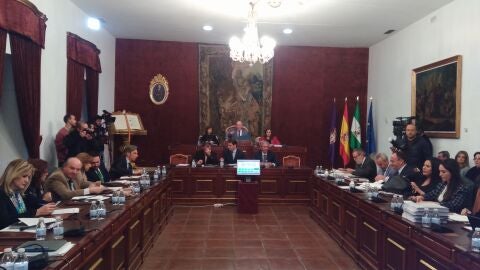 Pleno provincial