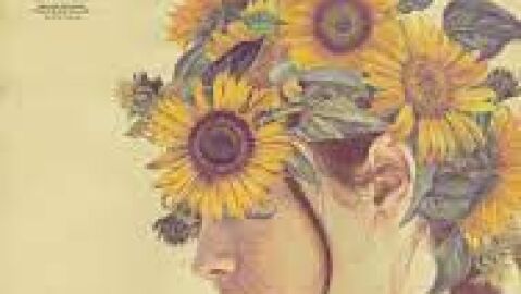 Girasoles Silvestres