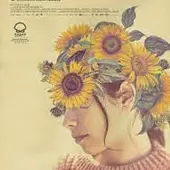 Girasoles Silvestres Girasoles Silvestres