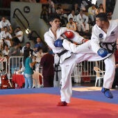 Taekwondo