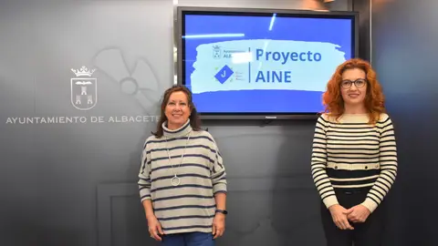 Proyecto AINE Proyecto AINE