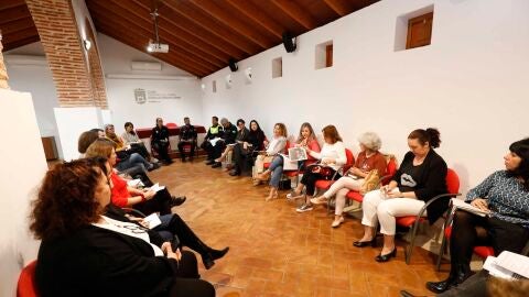 Mesa Seguimiento Local Violencia G&eacute;nero