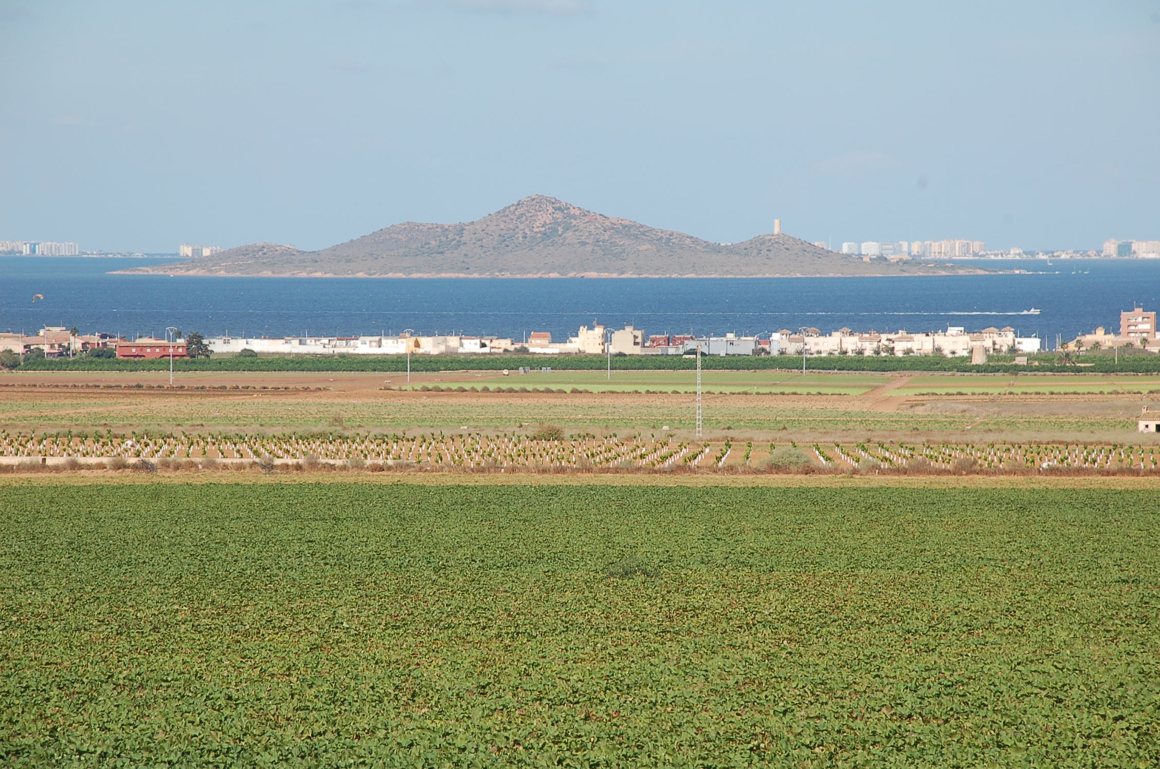 Trece organizaciones ecologistas piden "el fin de los bulos" sobre la contaminación del Mar Menor Trece organizaciones ecologistas piden "el fin de los bulos" sobre la contaminación del Mar Menor