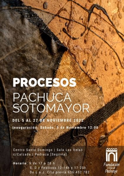 Exposición, mercado y concierto, en la recta final del año de la mano de la Fundación Villa de Pedraza Exposición, mercado y concierto, en la recta final del año de la mano de la Fundación Villa de Pedraza