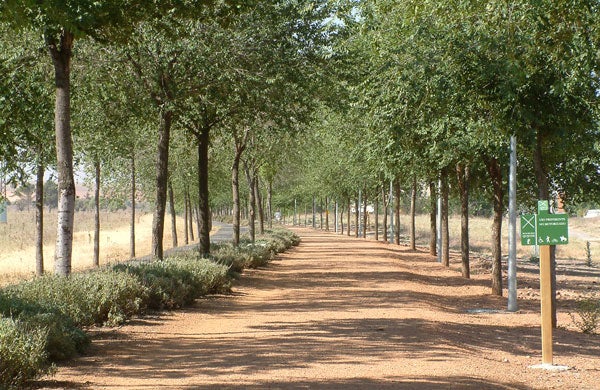 Ciudad Real invertirá 150.000 euros en la mejora de la iluminación de la vía verde Ciudad Real invertirá 150.000 euros en la mejora de la iluminación de la vía verde