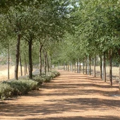Vía Verde de Ciudad Real Vía Verde de Ciudad Real