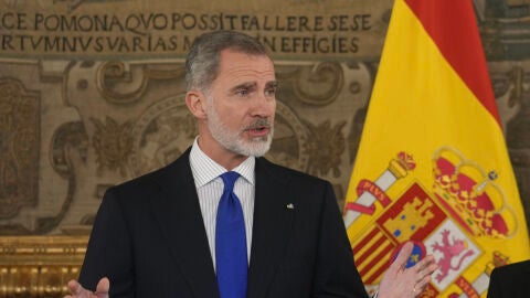 El rey Felipe VI pronuncia un discurso durante la audiencia en el Palacio Real a los asistentes a la Asamblea Parlamentaria de la OTAN que se celebra en Madrid. 