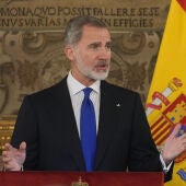 El rey Felipe VI pronuncia un discurso durante la audiencia en el Palacio Real a los asistentes a la Asamblea Parlamentaria de la OTAN que se celebra en Madrid. 