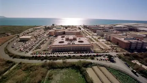 universidad universidad